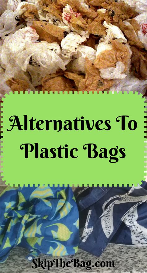 Skip The Bag: Alternatives to Plastic Grocery Bags