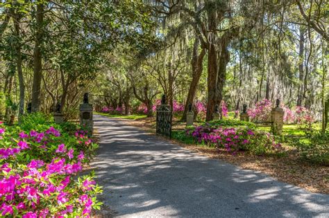 Welcome — Magnolia Plantation & Gardens