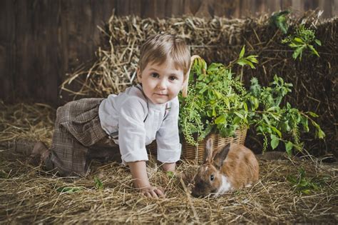 Premium Photo | Children playing with animals 6055