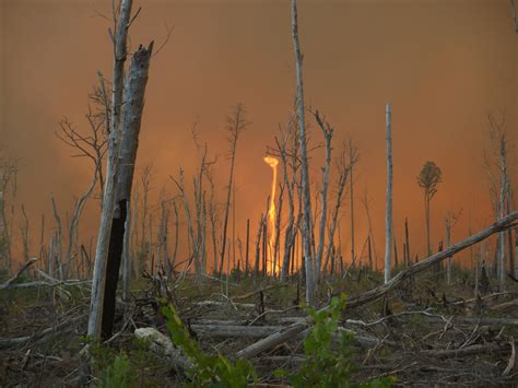 Here's What a Fire Whirl Looks Like - Science Friday