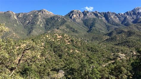 Madera Canyon in the Santa Rita Mountains near Tucson, Arizona - YouTube