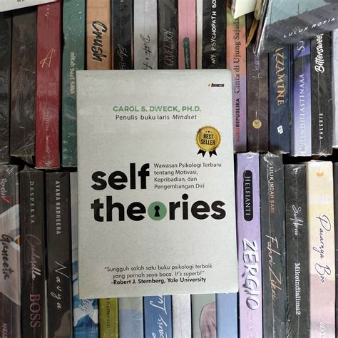 SELF THEORIES : CAROL S. DWECK | Lazada Indonesia