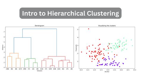 Unveiling Hidden Patterns: An Introduction to Hierarchical Clustering ...