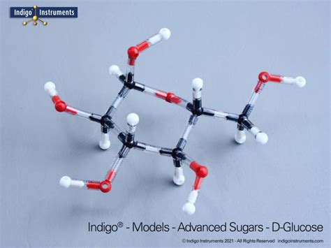 Sugar Structures Molecular Model Kit, Indigo