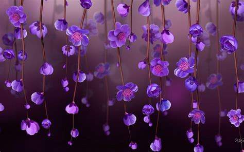 Minimalist Purple Flowers Wallpapers - Top Free Minimalist Purple Flowers Backgrounds ...