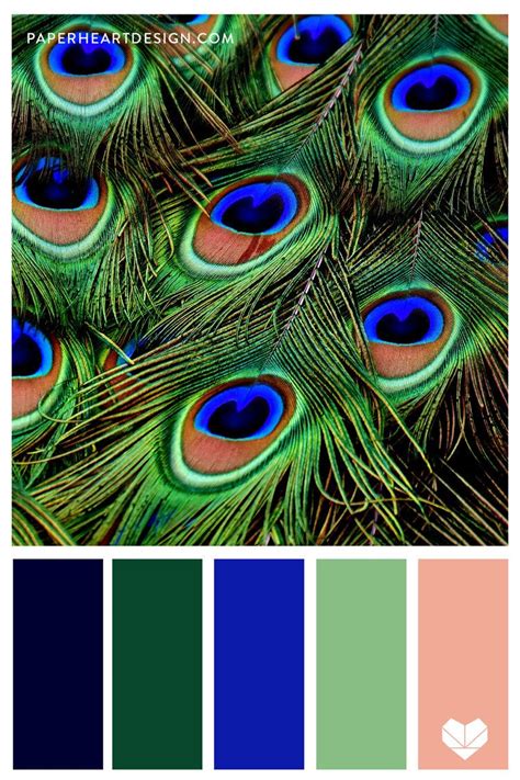 Peacock Green Color Palette