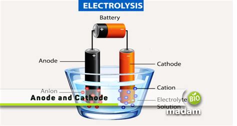 Difference Between Anode and Cathode - biomadam