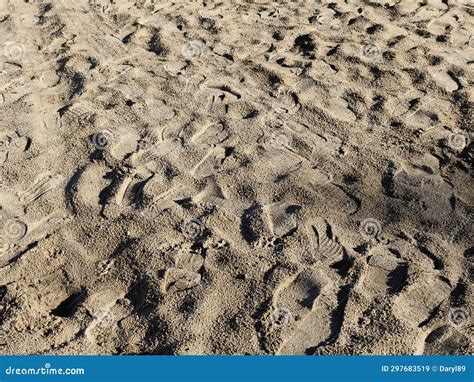 Many Footprints on the Sand at the Beach Stock Image - Image of sand ...