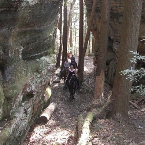 Happy Trails Horseback Rides - Hocking Hills | Horseback riding, Happy trails, Outdoor activities