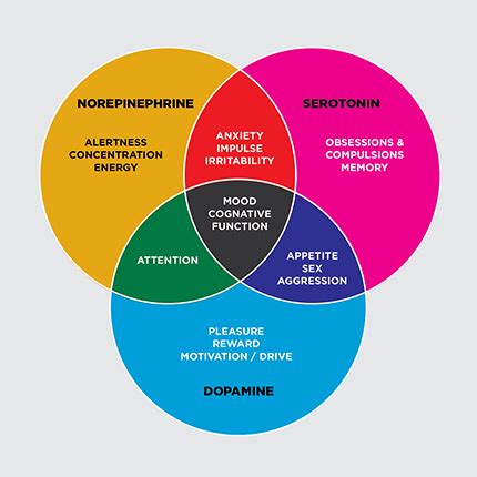 MMHW – Manhattan Mind Health & Wellness » Psychopharmacology