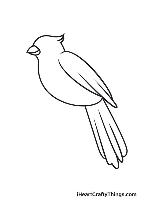 Cardinal Drawing - How To Draw A Cardinal Step By Step