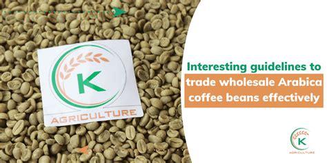 Useful Wholesale Arabica coffee Beans Business Tips | K-Agriculture