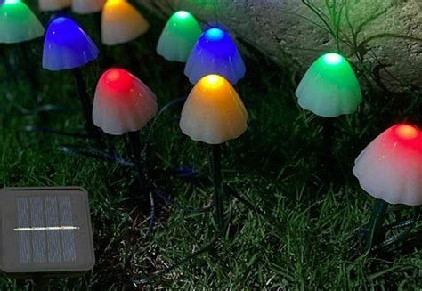 Mushroom LED Fairy Lights • GrabOne NZ