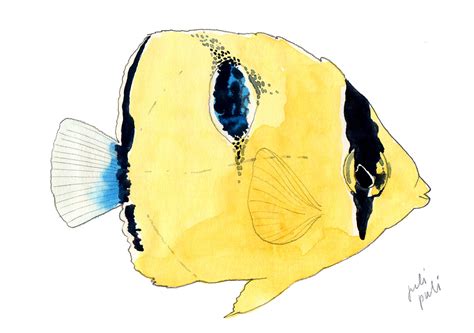 Quick sketches of fish in watercolor :: Behance