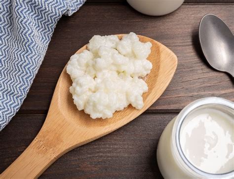 What Are Milk Kefir Grains? | Revolution Fermentation