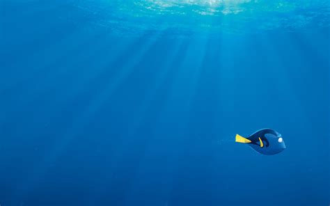 Finding Dory Movie Wallpapers | HD Wallpapers | ID #17552