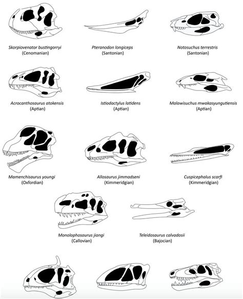 Dinosaur Eyes and Darwinism: Evolution Is Blind to Needs – CEH