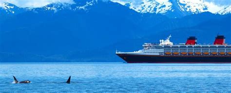 Cheap Alaska Inside Passage Cruises on CruiseCheap.com