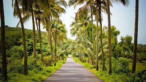 High-Resolution HD Nature Image of Beautiful Village Street in India - HD Wallpapers ...