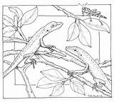Printable Nature Coloring Pages sketch template