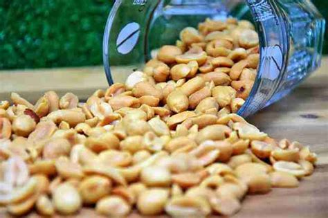 How To Grow Peanuts In Containers?