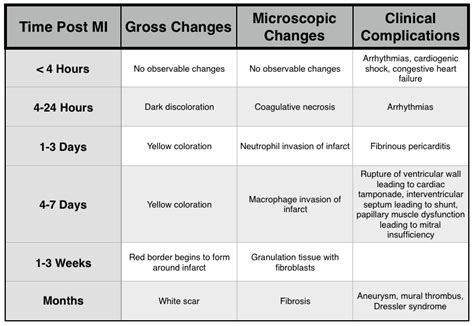 Acute Myocardial Infarction - Stepwards