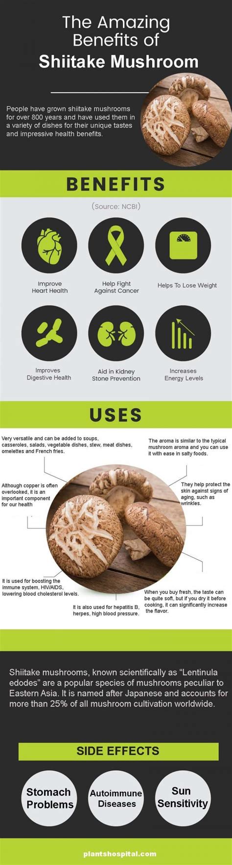 What Are The Health Benefits Of Shiitake Mushroom?