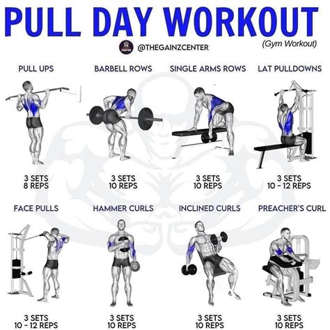 Pull Day Workout | Pull day workout, Push pull workout routine, Workout gym routine