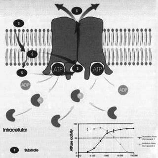 European Journal of Pharmaceutics and Biopharmaceutics “Re-evaluation ...