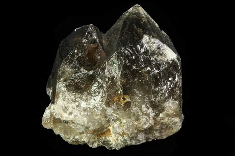 1.3" Smoky Quartz Crystal Cluster - Namibia (#69185) For Sale - FossilEra.com