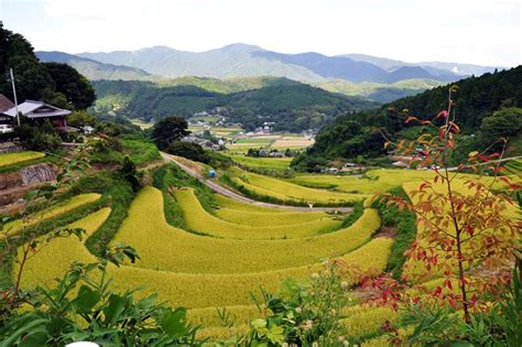 rural Japan...lived here for two years. or was it a dream? Japan Countryside, Landscape ...