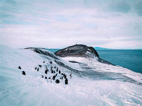 How I Got Paid to Live in Antarctica: FAQ About Working on the Ice • Wander Eat Write