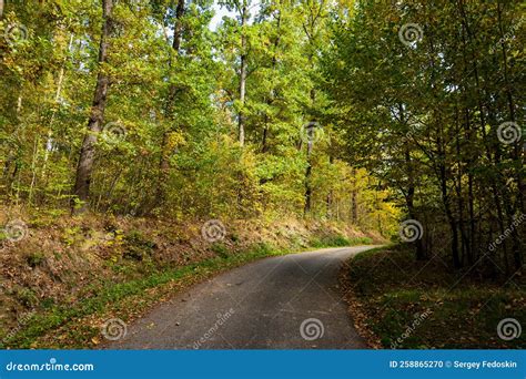 Road in the autumn forest stock photo. Image of october - 258865270