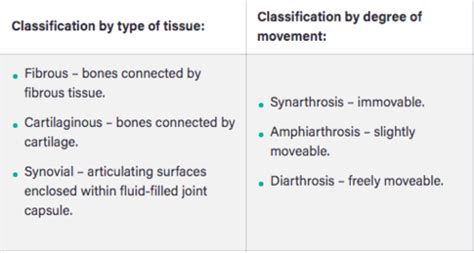 joint quiz Flashcards | Quizlet