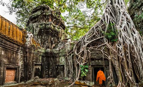 Temple de Ta Prohm - découverte au Cambodge - Cambodia Roads