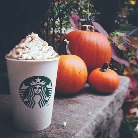 The 9 Best Fall Drinks To Order Other Than A PSL