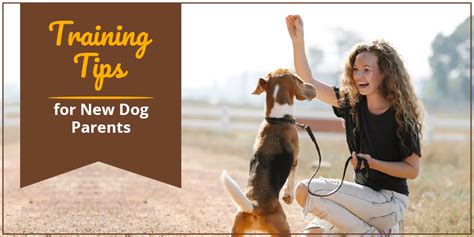 Training Tips for New Dog Parents - CanadaVetCare Blog