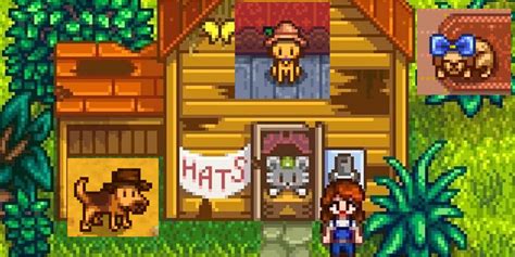 Stardew Valley Pets Getting Attention In An Update Has Been A Long Time Coming