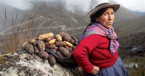 The Art & Ancestry of Inca Farming & Agriculture - Enigma Blog