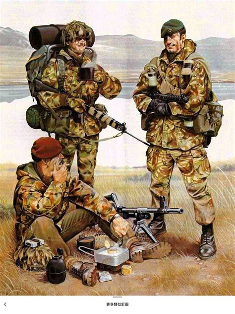 Royal Marines in Falkland War | One Sixth Warriors Forum