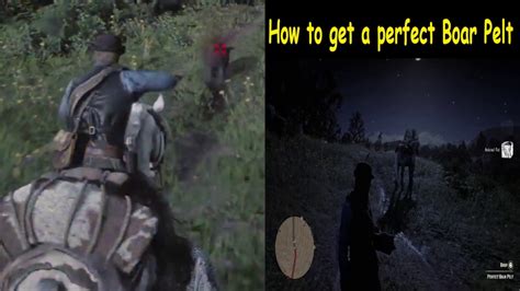 RDR2 How to get a perfect Boar Pelt - YouTube