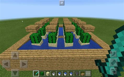 Tutorial: How to make a simple cactus farm!🌵 | Minecraft Amino