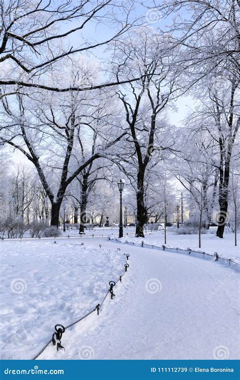 Path in the Park among the Trees in the Snow, Snow, Winter Stock Image ...