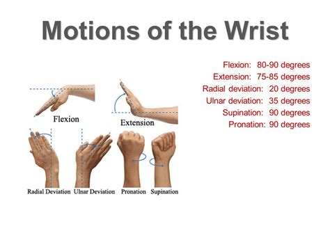 Wrist Motion (Radial & Ulnar Deviations) : AimHero