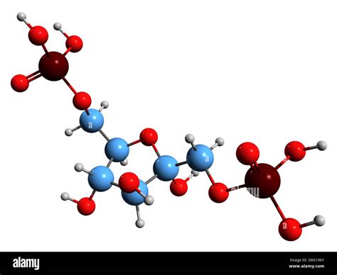 3D image of Fructose 1 6-bisphosphate skeletal formula - molecular chemical structure of Harden ...