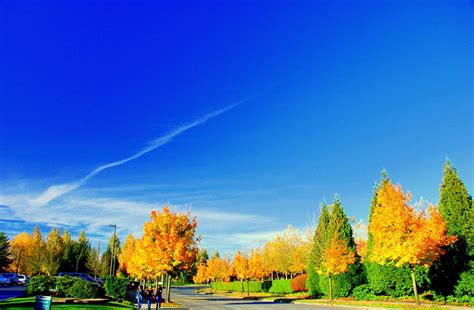 Fall Scenery | Warm sunny autumn day with azure skies. Used … | Flickr