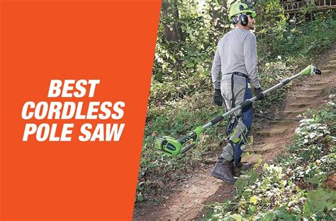 Best Cordless Pole Saws 2021 - Top Picks & Buying Guide - FreshHandyman