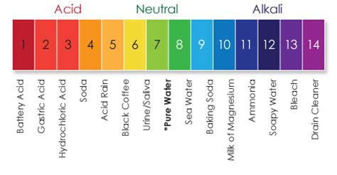 All Categories - Carmen´s Science