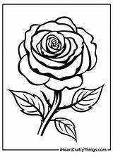Desenho Para Colorir Rosa sketch template