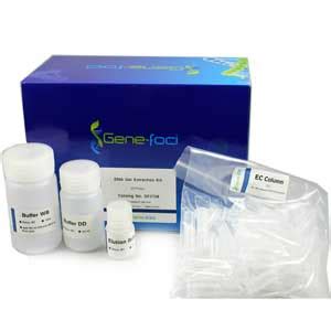 Gel Extraction Kit